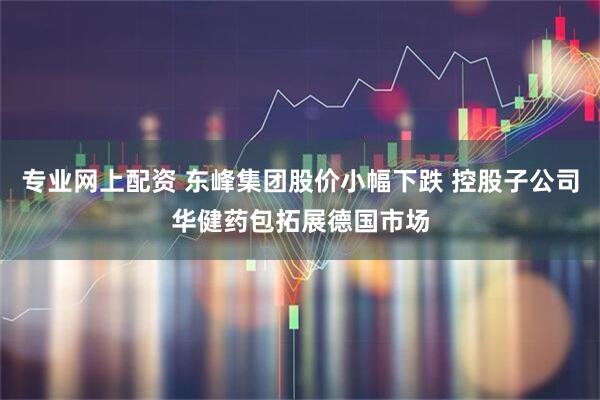 专业网上配资 东峰集团股价小幅下跌 控股子公司华健药包拓展德国市场