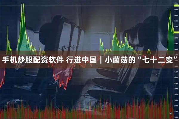 手机炒股配资软件 行进中国｜小菌菇的“七十二变”