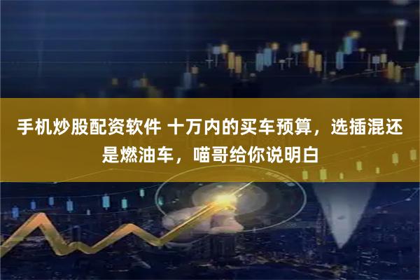 手机炒股配资软件 十万内的买车预算，选插混还是燃油车，喵哥给你说明白